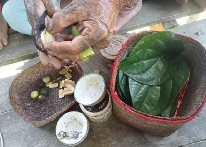 Di Mahulu, Tradisi Makan Sirih Kerap Dijadikan Media Pembuka Obrolan 