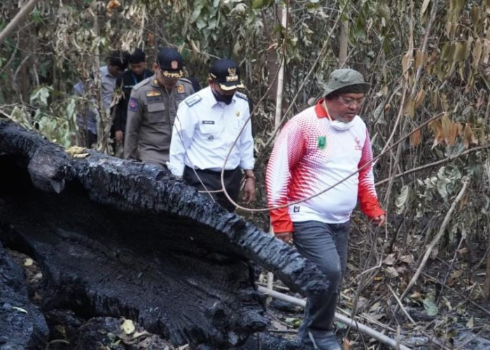Meski Kabut Asap Mereda, Wabup Gamalis Tetap Meminta Masyarakat Tak Membuka Lahan dengan Cara Dibakar