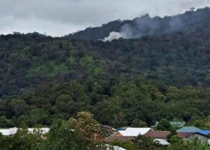 Pilot Pesawat Kargo Pelita Air yang Jatuh di Nunukan Meninggal, Penyebab Kecelakaan Masih Diselidiki