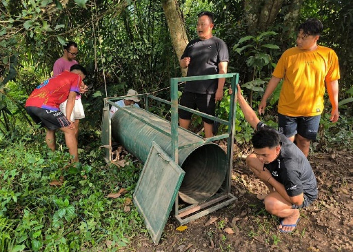 Beruang Madu Muncul di Desa Marah Haloq, BKSDA Kaltim Pasang Kandang Jebak 