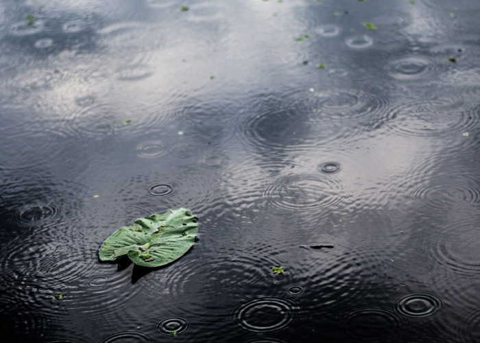 Ramalan Cuaca Kaltim dan IKN, 31 Maret 2026, Cek di Sini!