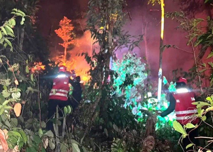 Balikpapan Catat 31 Kasus Kebakaran Lahan, Pepelingasih Desak Usut Sumber Api