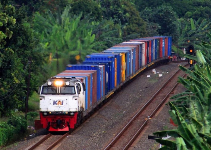 Pembangunan Jaringan Kereta Logistik Kalimantan Tunggu Investor, Pemerintah Pastikan Tak Pakai APBN