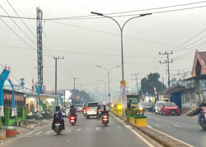 BMKG Pantau Nol Titik Panas di Berau, Kabut Asap Mulai Mereda Terdorong Angin