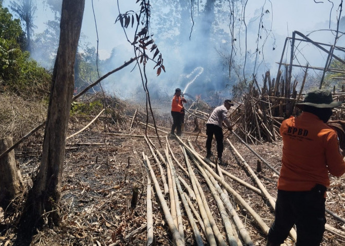 Kebakaran Lahan di Depan Islamic Center PPU Dipadamkan