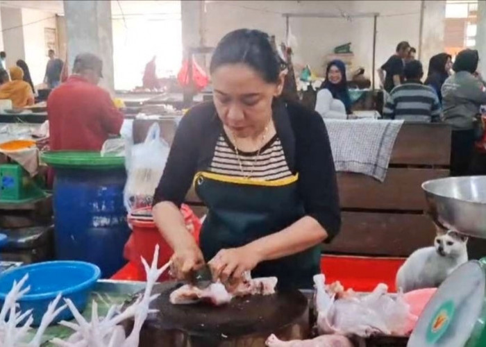 Harga Ayam di Pasar Olah Bebaya Melak Naik Jelang Natal dan Tahun Baru