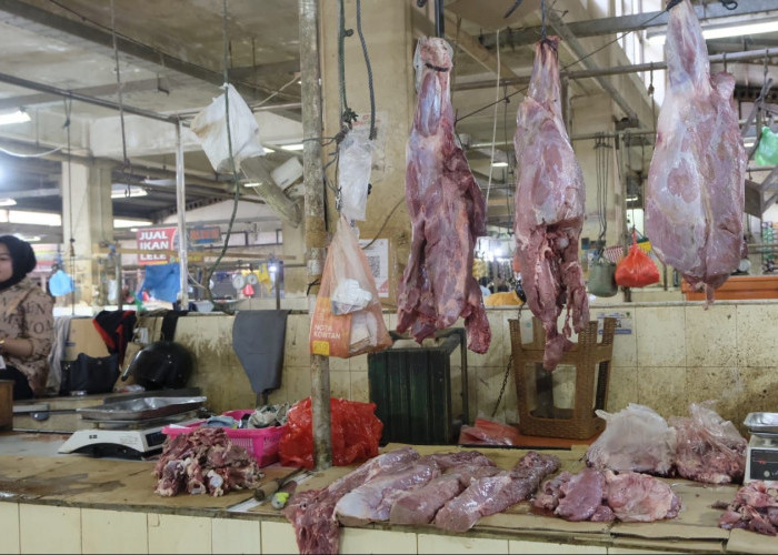 Jelang Ramadan 1447 H, Harga Daging Sapi dan Ayam Potong di Berau Masih Stabil