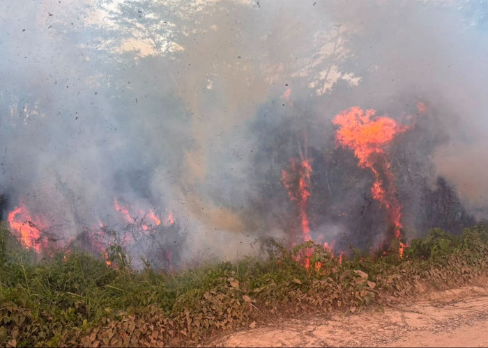 Api Membakar Lahan di Jalan Ulin Kutai Timur, Warga Khawatir Menjalar ke Workshop Alat Berat