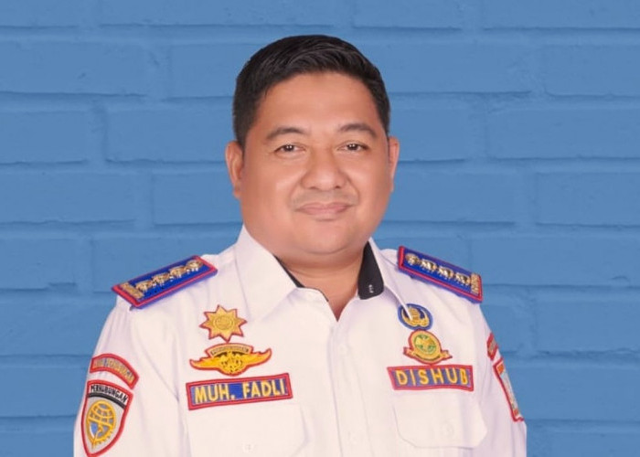 Dishub Balikpapan Tanggapi Dugaan Hauling Batu Bara di Kariangau: Status Jalan Milik Provinsi  