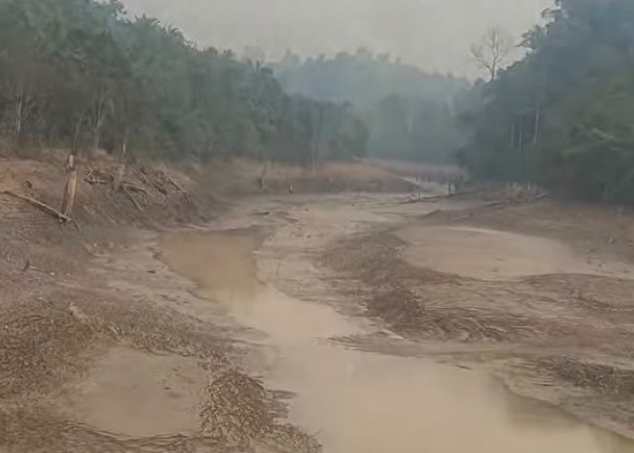 Gawat, Embung Muru Mengering Imbas Kemarau, Distribusi Air PDAM di Kuaro Terhenti 