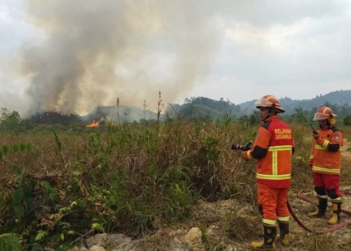 El Nino Berkepanjangan, BMKG Sarankan Petani Kaltim Sesuaikan Kalender Tanam