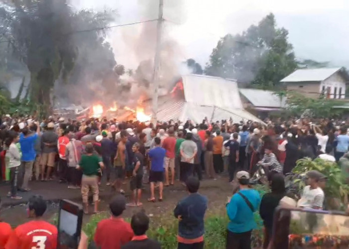 Geram! Harimau Terkam Warga, Massa Bakar Kantor Taman Nasional BBS