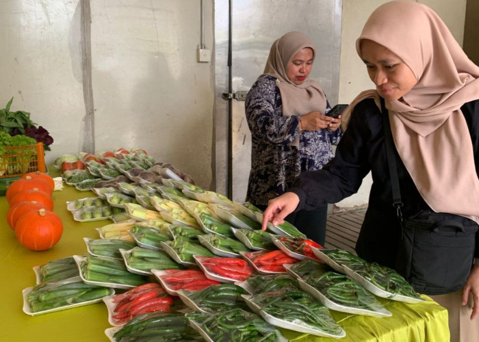 Aspakusa Makmur Boyolali, Pemasok Sayur Premium yang Juga Cetak Generasi Tani Baru