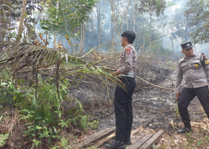 Kebakaran Lahan Hanguskan Kebun Kelapa di Balikpapan