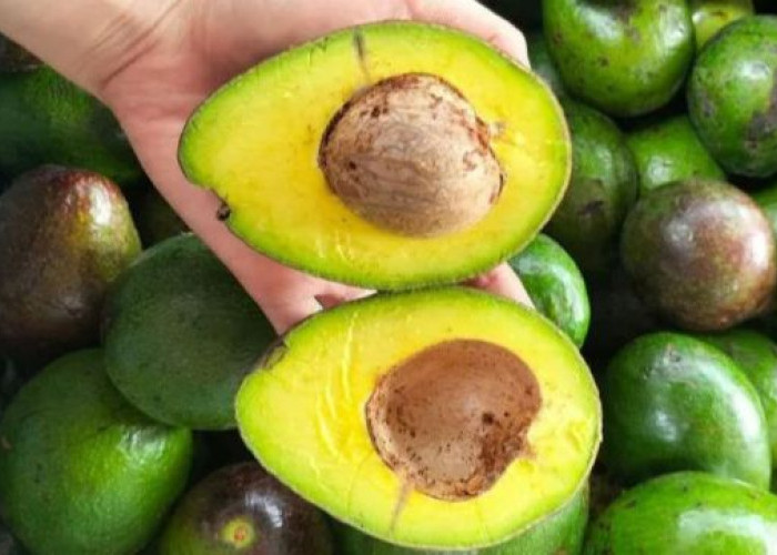 Mengonsumsi Alpukat bisa Tingkatkan Kesehatan Jantung, Mengandung Lemak Baik
