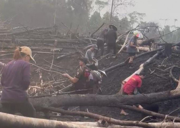 Tokoh Adat Dayak Mahulu Bantah Asap Karhutla Disebabkan Pembakaran Lahan Pertanian
