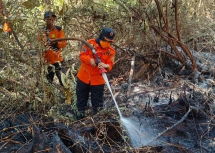 Ancaman Karhutla dan Kekeringan Melanda, Pemkab PPU Siapkan Operasi Siaga Darurat Bencana