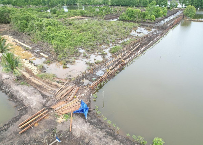 Proyek Irigasi Tambak Rp3,8 Miliar Diduga Masuk Kawasan TNK, Bupati Kutim Angkat Bicara