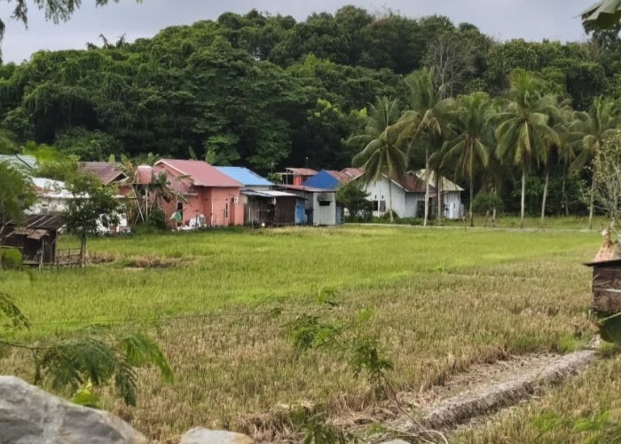 Serap Hasil Panen Petani, Pemkab Kukar Gandeng Bulog Bangun Gudang Pangan