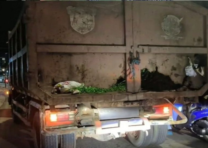 Truk Tua Masih Beroperasi, DLH Samarinda Kekurangan Armada Pengakut Sampah
