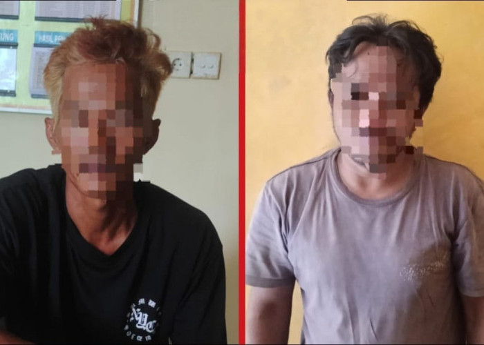 Curi Tiga Ekor Sapi, Pria di Rantau Pulung Dibekuk Saat Hendak Kabur ke Sangatta 