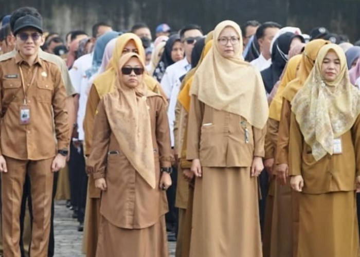 Masih Kosong, 4 Jabatan Eselon II Pemkab PPU Dilelang