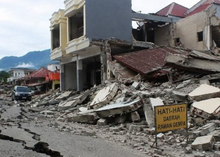 Data Terbaru BPBD NTT: 7.968 Rumah dan 744 Fasum Rusak akibat Gempa M7,7