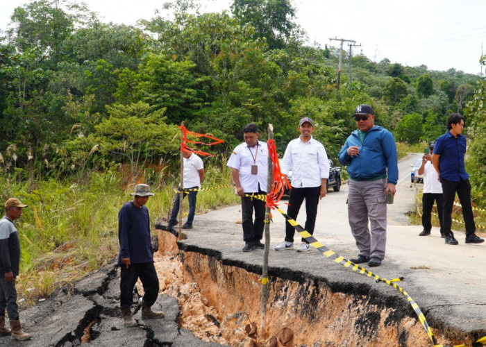 Atasi Jalan Ambles, Pemkab Berau Ambil Langkah Cepat Dengan Lakukan Penimbunan 