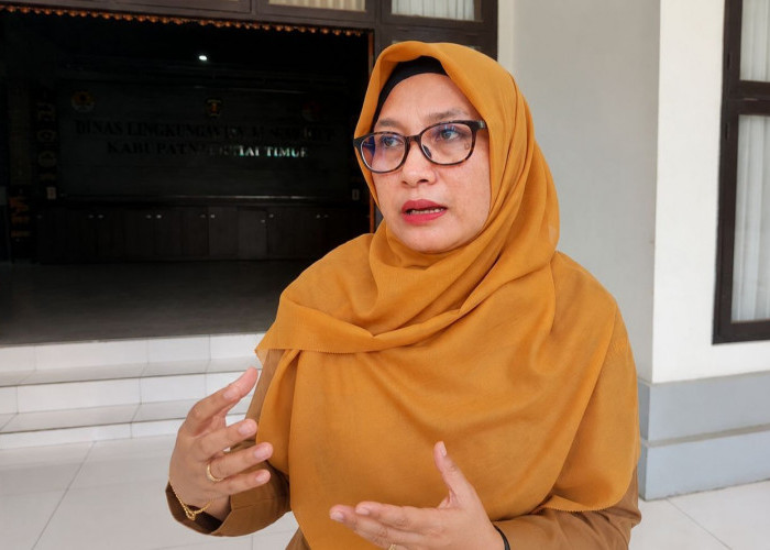 DLH Kutim Siapkan Langkah Tegas terhadap Perusahaan yang Abaikan Kewajiban Lingkungan