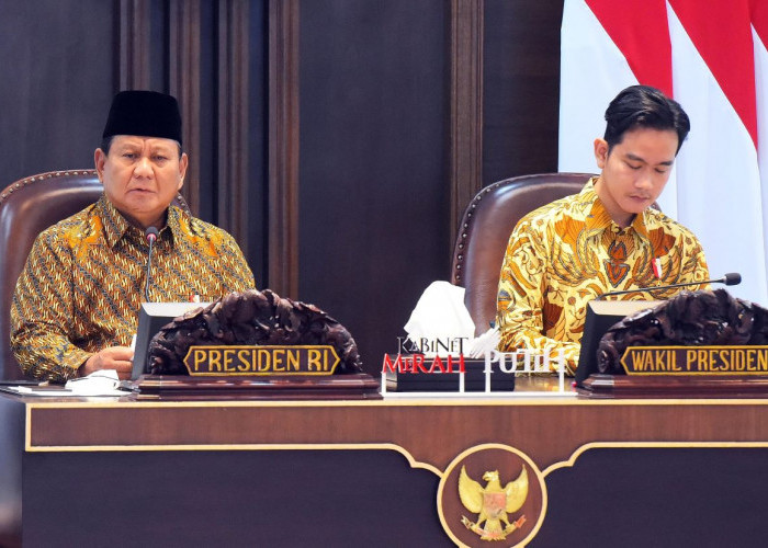 Prabowo Stop Izin Pengelolaan Hutan, IUP dan HPH Lama Ditinjau Ulang