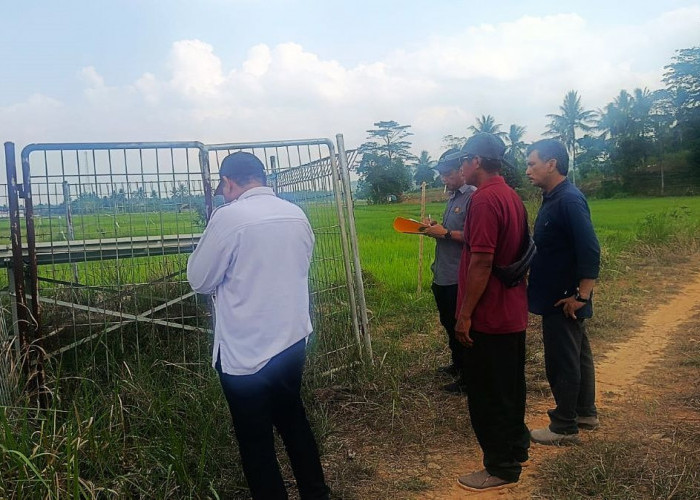2.000 Hektare Sawah Terancam Gagal Panen akibat Kekeringan, Pemkab Kukar Surati Kementan