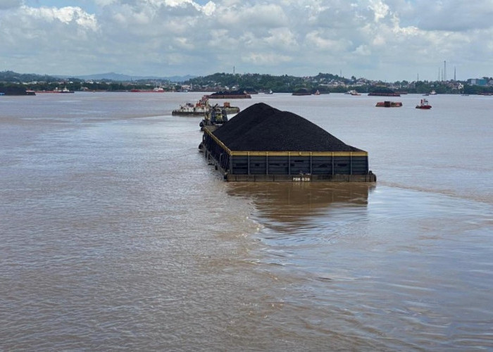 Cegah Kandas, KSOP Keluarkan Edaran Pembatasan Muatan Tongkang di Sungai Mahakam