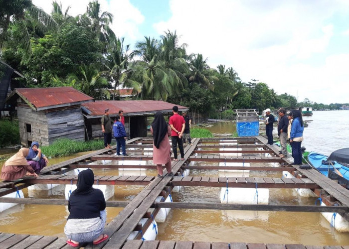 DKPP Mahulu Dorong Masyarakat Tingkatkan Budidaya Ikan Keramba, Siap Berikan Bantuan