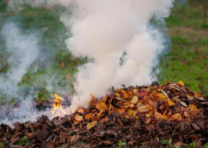 Pemkab Paser Larang Warga Bakar Sampah Selama Kemarau, Antisipasi Karhutla