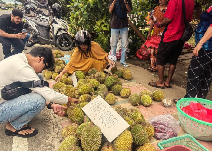 Lapak Durian Menjamur di Paser, Rp70 Ribu Bisa Dapat Ukuran Jumbo