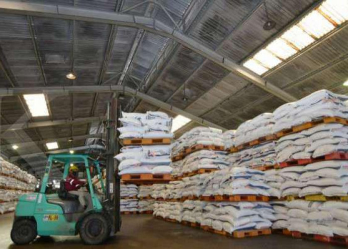 DPRD Kaltim Minta Pola Distribusi Pupuk Dibenahi, Libatkan BUMDes untuk Awasi dari Desa