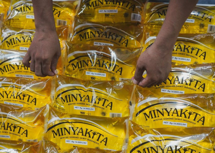 Harga MinyaKita Berpotensi Naik, Pemerintah Berencana Sesuaikan HET