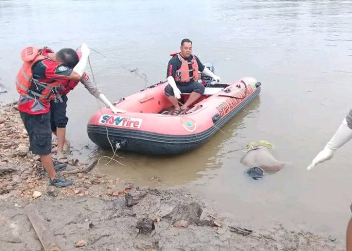 Empat Korban Kapal Tenggelam di Sungai Mahakam Berhasil Dievakuasi 