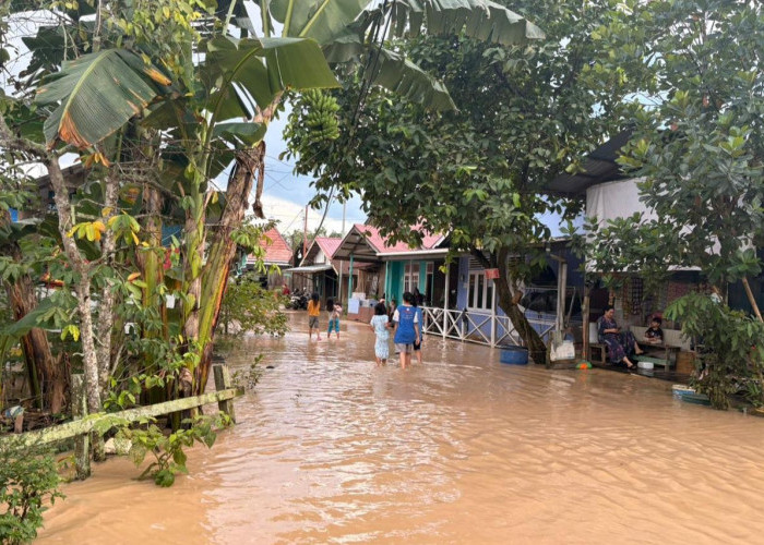 Akibat Curah Hujan Beberapa Wilayah di Sangatta Kutai Timur Tergenang, Warga Pilih Masih Bertahan di Rumah 