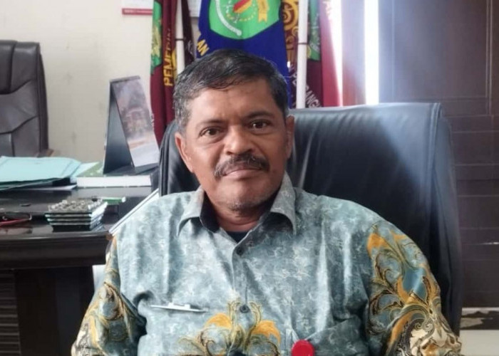 Petambak PPU Budidayakan Rumput Laut Gracilaria, Tembus Pasar Makassar dan Jawa