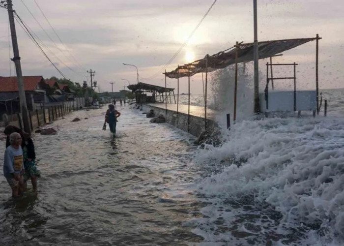 Waspada Pasang Tinggi di Pesisir Kaltim, 16-17 Desember Bisa Mencapai 2,9 Meter