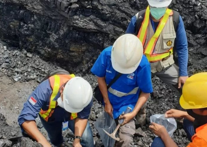 PHK di Kaltim Bukan karena Kenaikan Upah, Selama 2025 Tercatat 3.487 Orang Berhenti Kerja