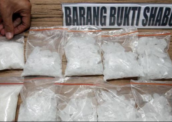 Tiap Tahun Kasus Naik, BNNP Kaltim Sita 42 Kilogram Sabu Sepanjang 2025