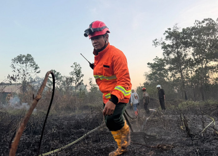 211 Hektare Lahan Terbakar, Samarinda Ajukan Modifikasi Cuaca ke BNPB 