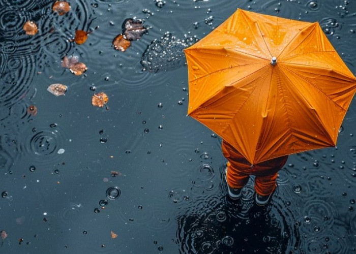 Ramalan Cuaca Kaltim dan IKN, 27 Februari 2026, Cek di Sini!