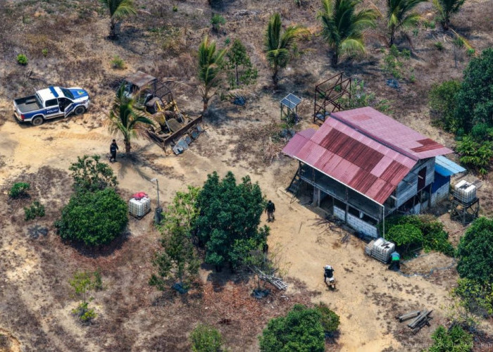 36 Persen Tahura Bukit Soeharto Diserobot, OIKN Lakukan Penertiban