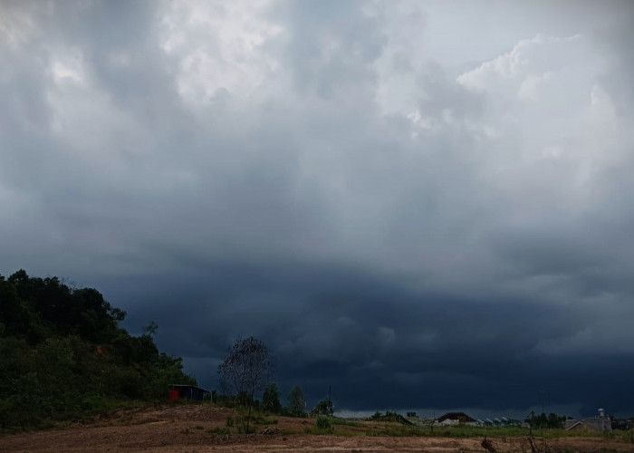 Ramalan Cuaca Kaltim dan IKN, 12 Maret 2026, Cek di Sini!