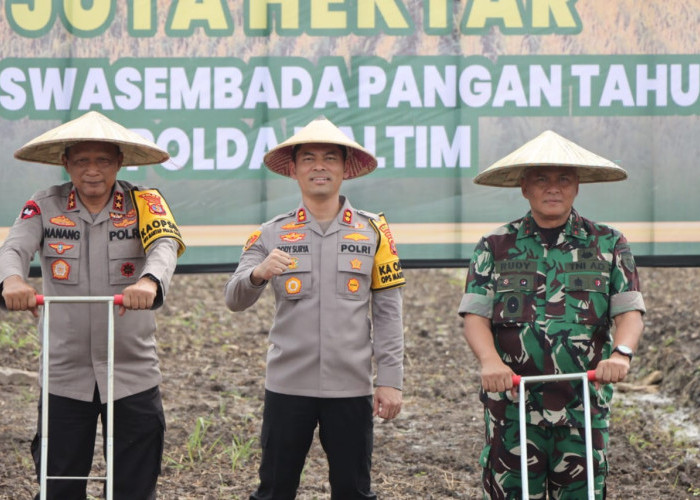 Penanaman Jagung Serentak di Kaltim Dukung Swasembada Pangan