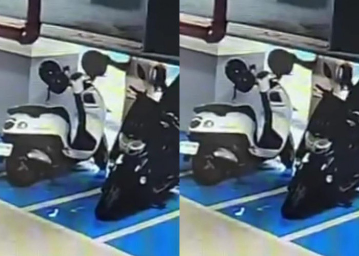 Viral Aksi Pencurian Helm di Parkiran Pasar Pagi Samarinda, Dishub Janji Perketat Pengamanan