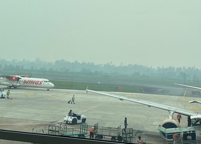 Karhutla Ganggu 409 Penerbangan di Tiga Provinsi Kalimantan, Dalam Sepekan Naik 157 Persen